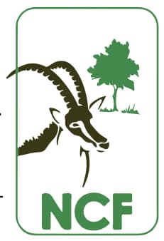Logo for NCF
