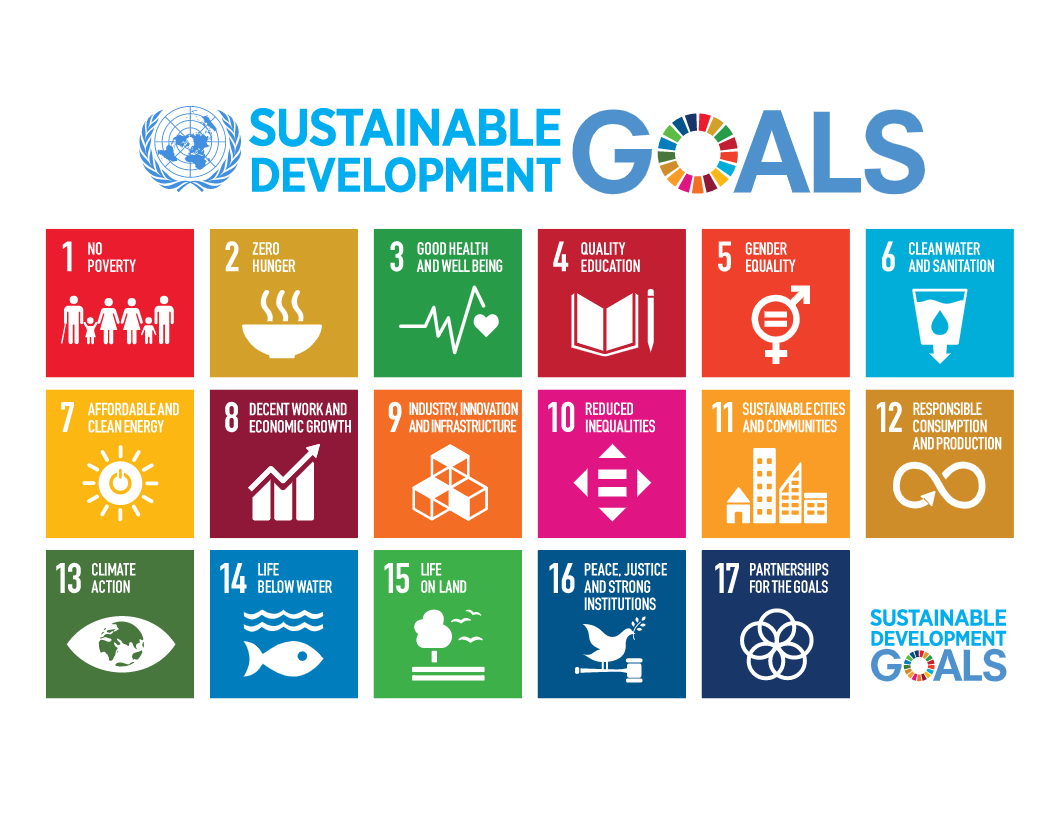 The Sustainable Development Goals (SDGs) as at 2022